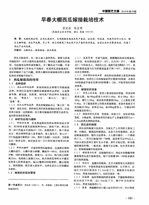 早春大棚西瓜嫁接栽培技术