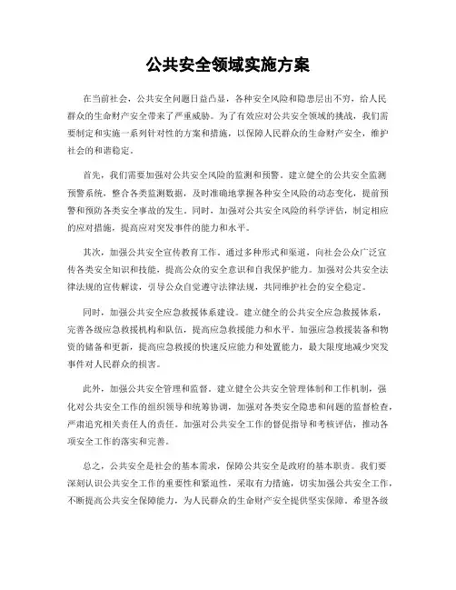 公共安全领域实施方案