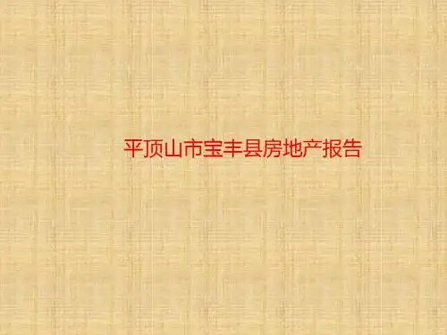 宝丰房地产报告