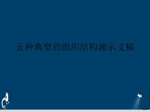 五种典型的组织结构演示文稿