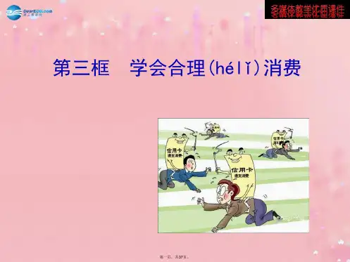 九年级政治全册 3.7.3 学会合理消费多媒体教学课件 新人教版