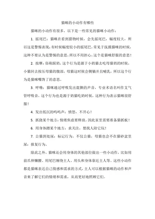猫咪的小动作有哪些