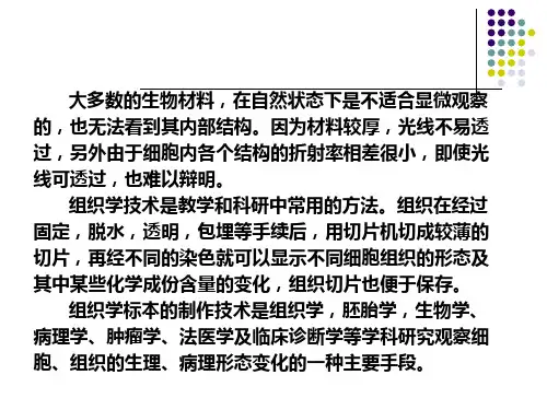 组织切片技术PPT72页