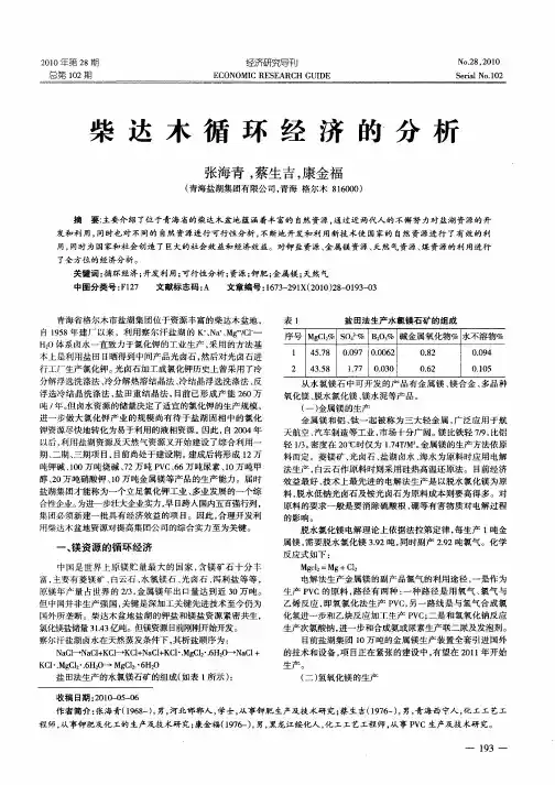 柴达木循环经济的分析