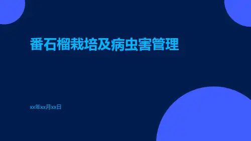 番石榴栽培及病虫害管理