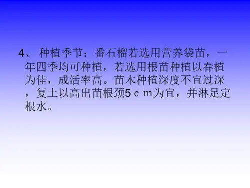 番石榴栽培及常见病虫害管理