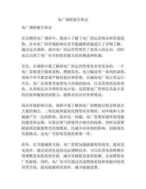 电厂调研报告体会