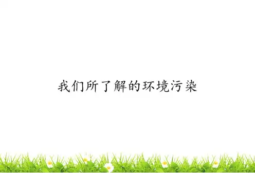 人教版道德与法治四年级上册《我们所了解的环境污染》课件