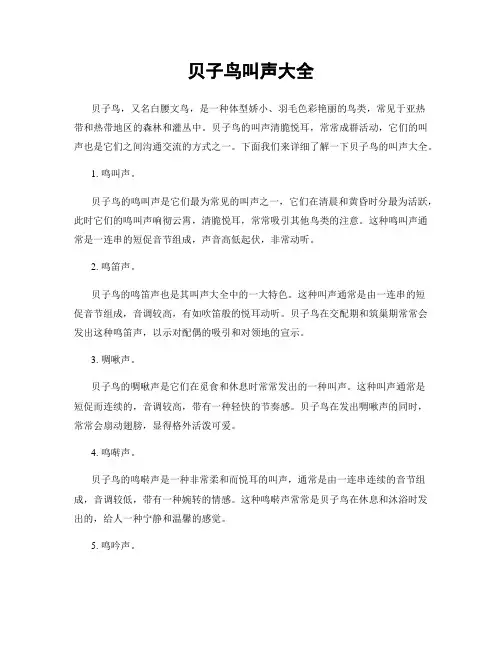 贝子鸟叫声大全