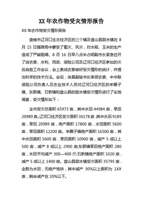 XX年农作物受灾情形报告
