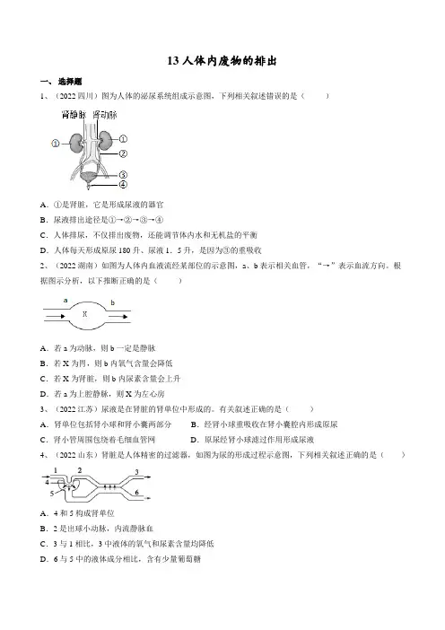 专题13人体内废物的排出(原卷版)