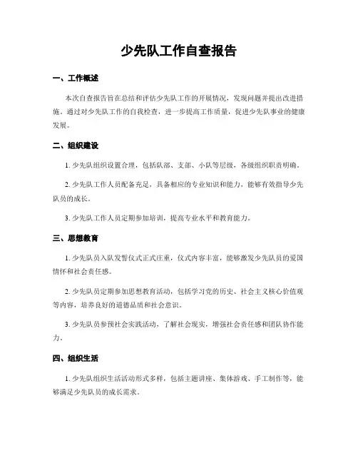 少先队工作自查报告
