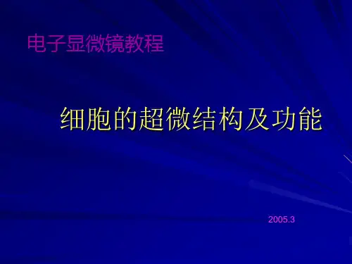 电镜--细胞的超微结构及功能