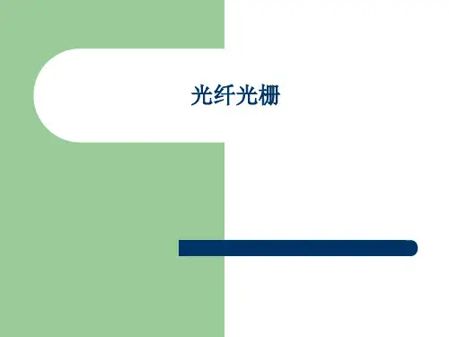光纤光栅