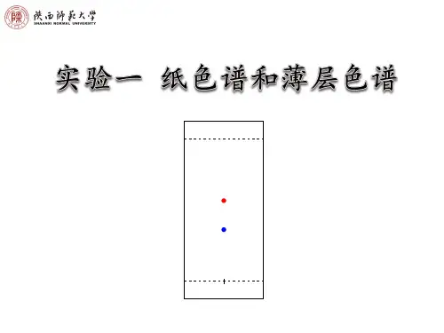 实验一薄层色谱和纸色谱