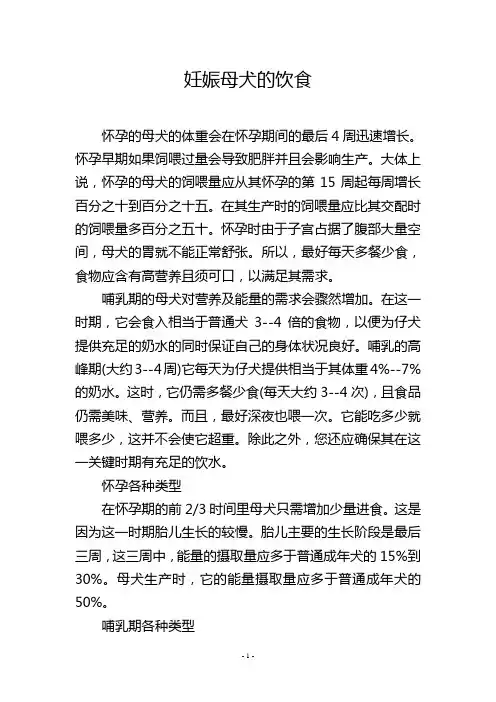 妊娠母犬的饮食