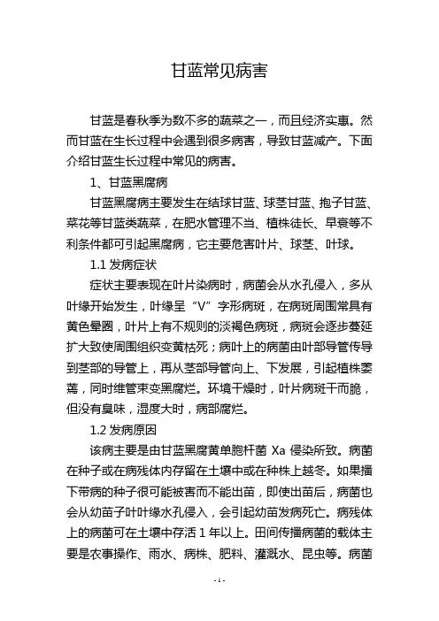 甘蓝常见病害