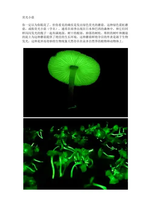 世界十大稀有蘑菇