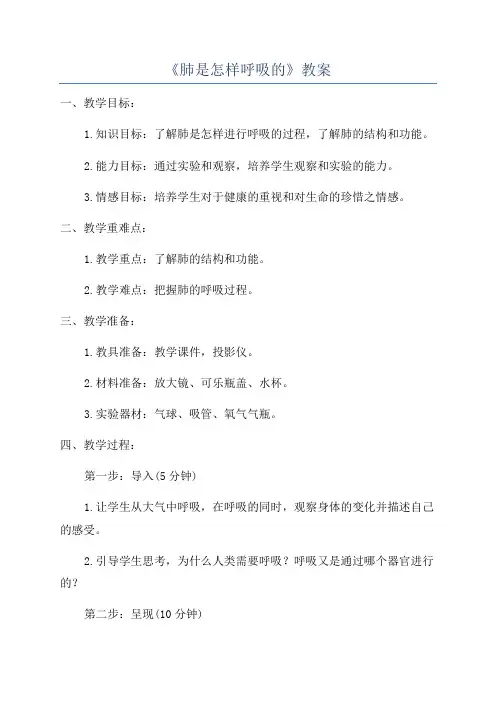 《肺是怎样呼吸的》教案