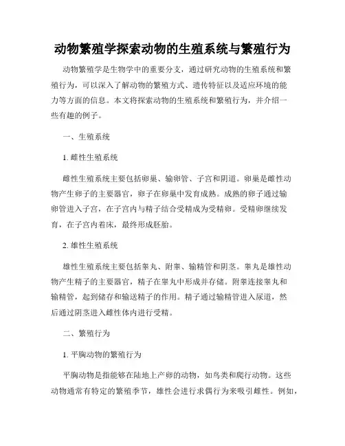 动物繁殖学探索动物的生殖系统与繁殖行为