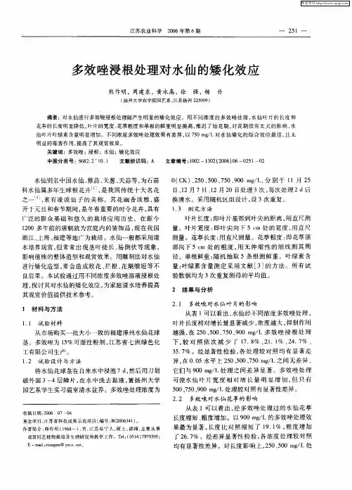 多效唑浸根处理对水仙的矮化效应