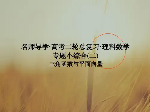 名师导学2018届高三数学理二轮复习课件：专题小综合二 精品