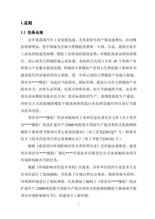 胶厂环评报告书(报批稿)