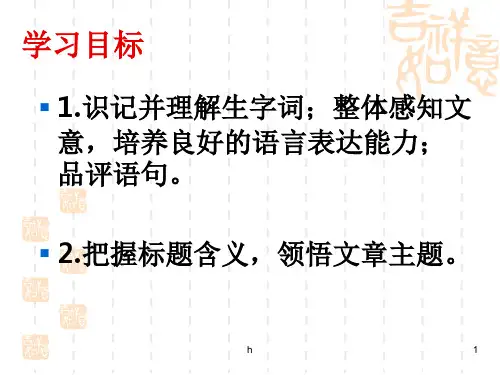 《我的第一本书》PPT课件