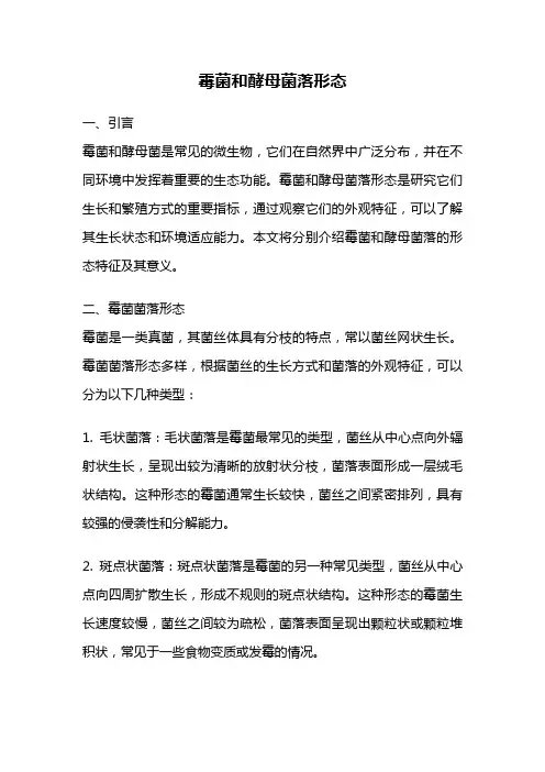 霉菌和酵母菌落形态