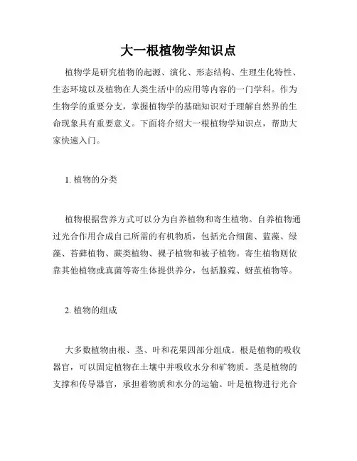 大一根植物学知识点