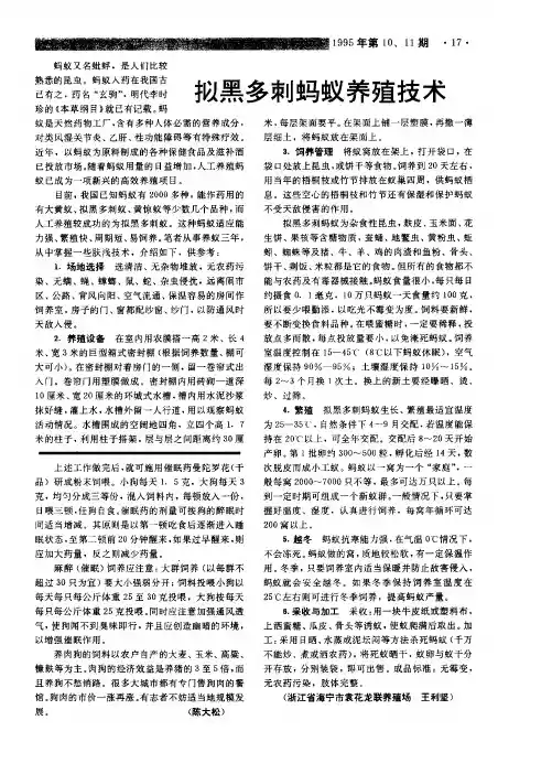 拟黑多刺蚂蚁养殖技术