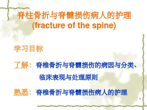 脊柱骨折与脊髓损伤病人的护理ppt课件