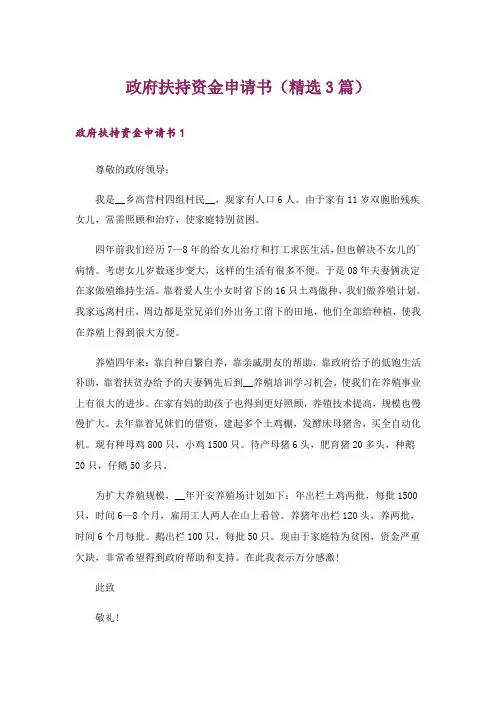 政府扶持资金申请书(精选3篇)