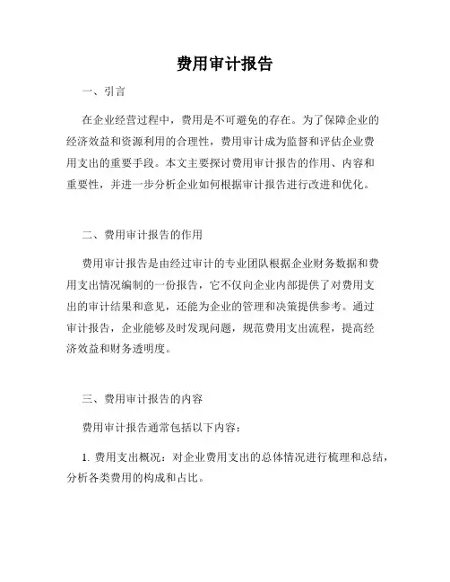 费用审计报告