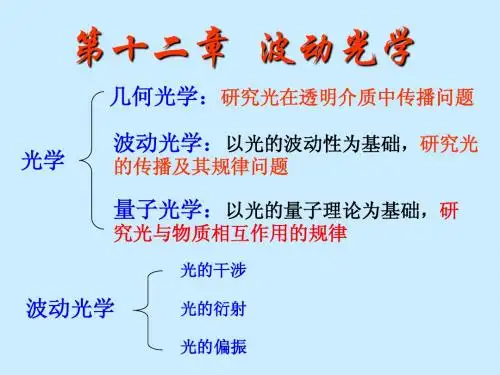 大学物理 第十二章 波动光学2