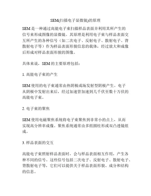 SEM(扫描电子显微镜)的原理