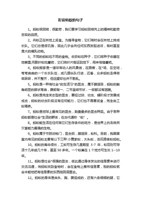 形容蚂蚁的句子