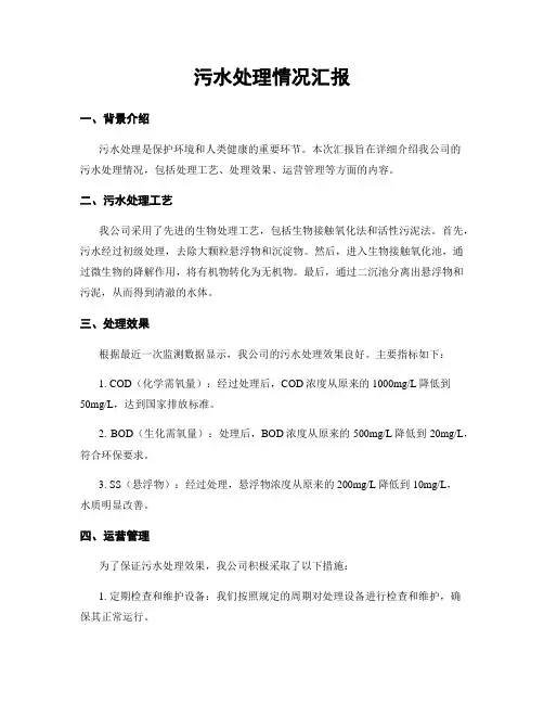 污水处理情况汇报