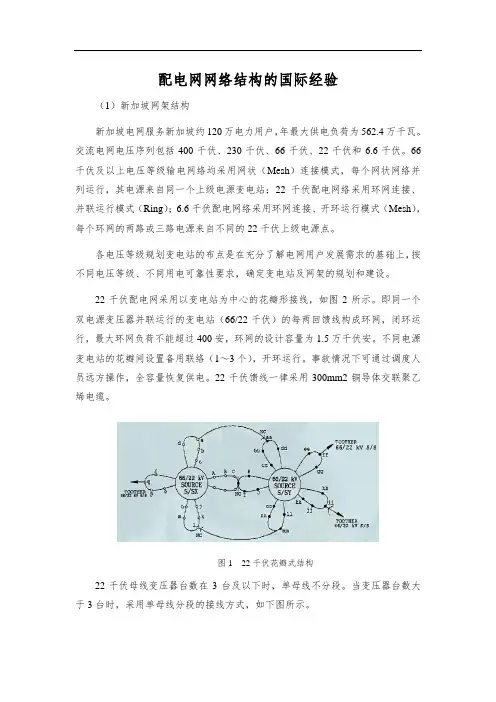 配电网网络结构的国际经验