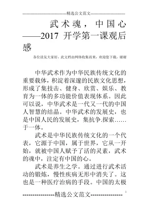 武术魂,中国心——2017开学第一课观后感