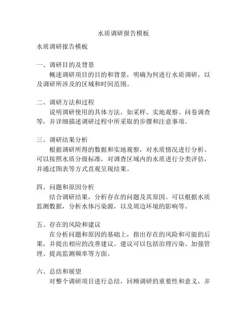 水质调研报告模板