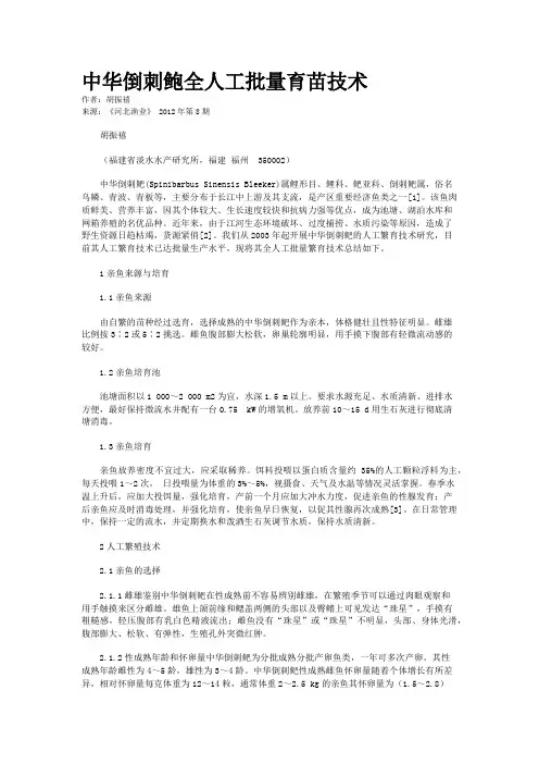 中华倒刺鲍全人工批量育苗技术