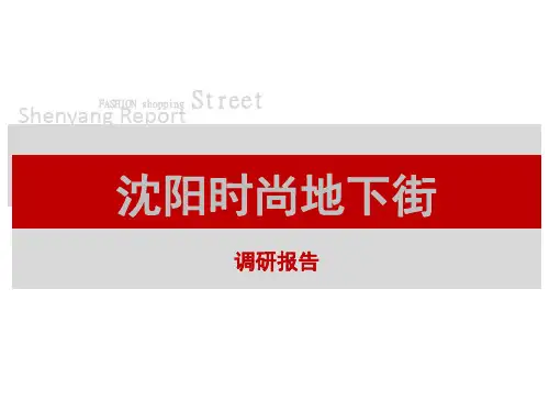沈阳时尚地下街调研ppt课件