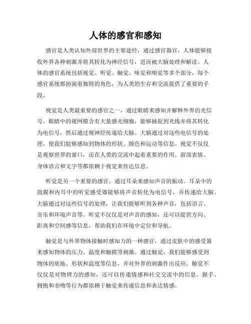人体的感官和感知