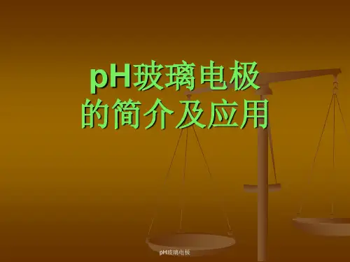 pH玻璃电极