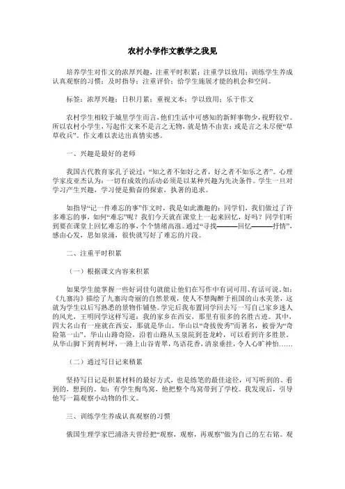 农村小学作文教学之我见