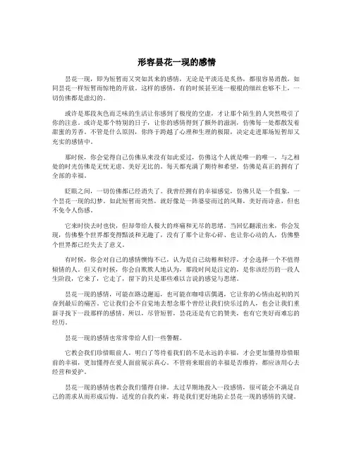 形容昙花一现的感情