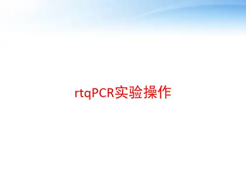 rtqPCR实验操作 ppt课件