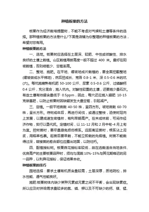 种植板栗的方法