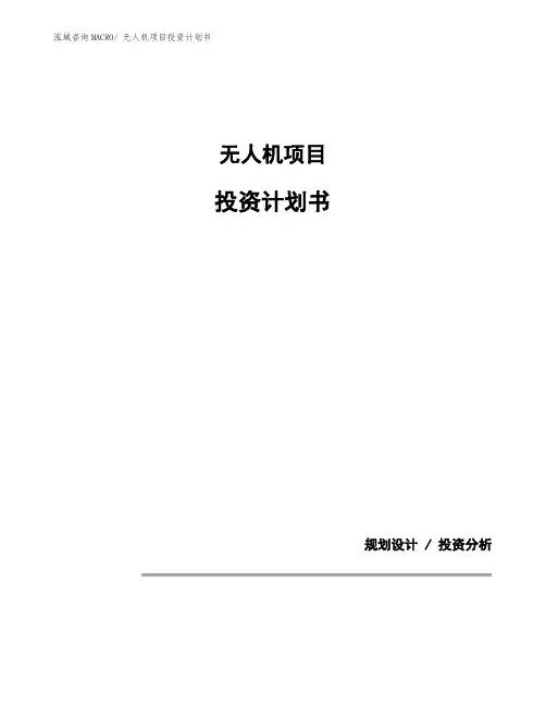 无人机项目投资计划书 (1)